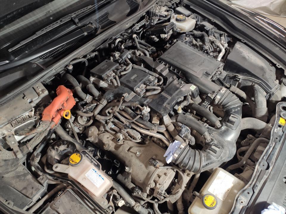 Фото в бортжурнале Lexus LS 600h